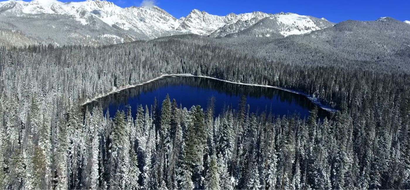 Lake surrounded by trees with mountains nearby